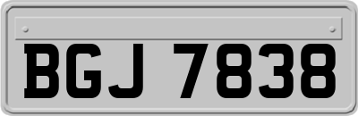 BGJ7838