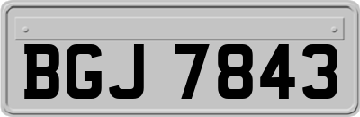 BGJ7843