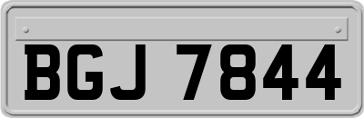 BGJ7844