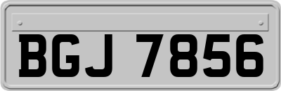 BGJ7856