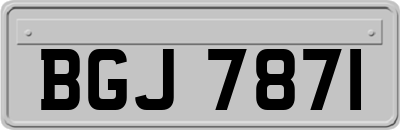 BGJ7871