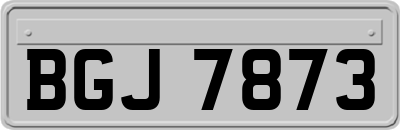 BGJ7873
