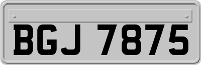 BGJ7875