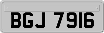 BGJ7916