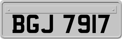 BGJ7917