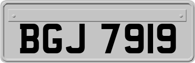 BGJ7919