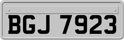 BGJ7923