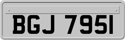 BGJ7951