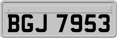 BGJ7953