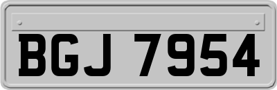 BGJ7954