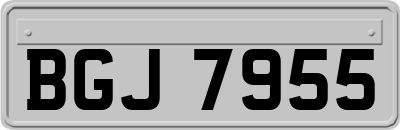 BGJ7955