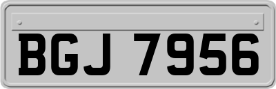 BGJ7956