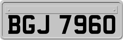 BGJ7960