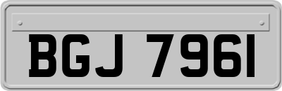 BGJ7961