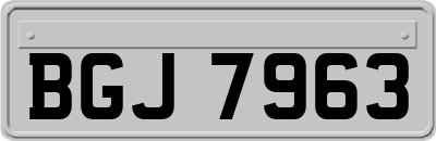 BGJ7963