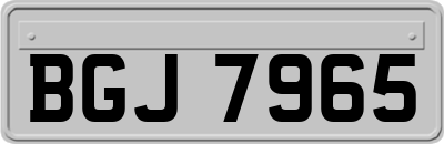 BGJ7965