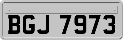 BGJ7973