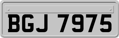 BGJ7975