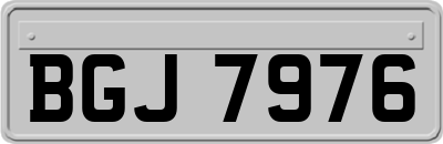 BGJ7976