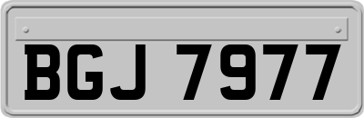 BGJ7977
