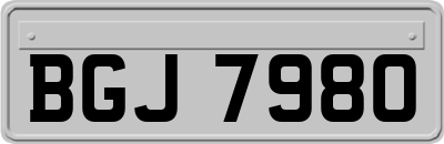 BGJ7980