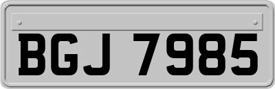 BGJ7985