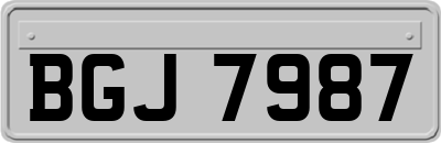 BGJ7987