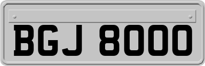 BGJ8000