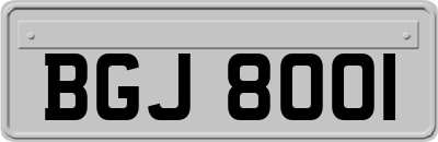 BGJ8001