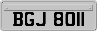 BGJ8011