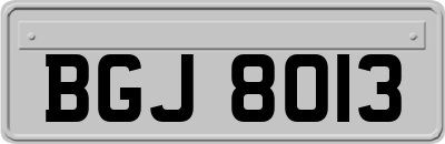 BGJ8013