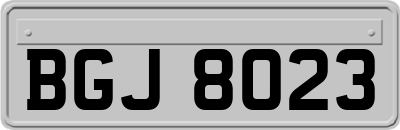 BGJ8023