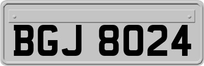 BGJ8024
