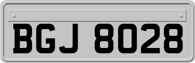 BGJ8028