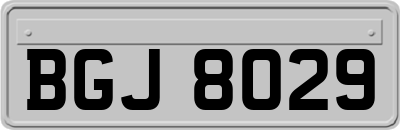 BGJ8029
