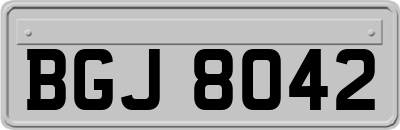 BGJ8042