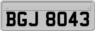 BGJ8043