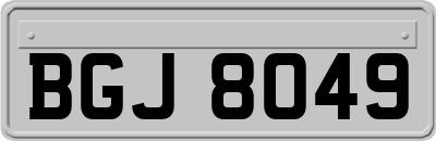 BGJ8049