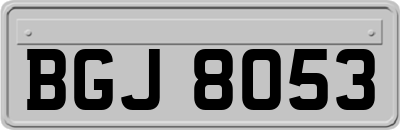 BGJ8053