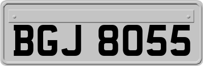 BGJ8055