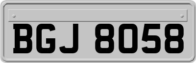 BGJ8058