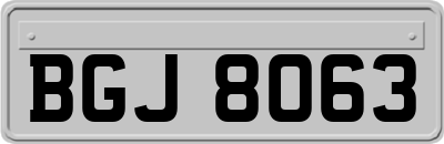 BGJ8063
