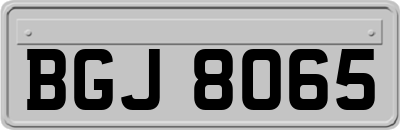 BGJ8065
