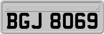 BGJ8069