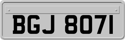 BGJ8071