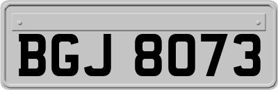 BGJ8073