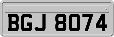 BGJ8074