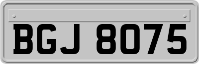 BGJ8075