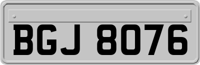 BGJ8076