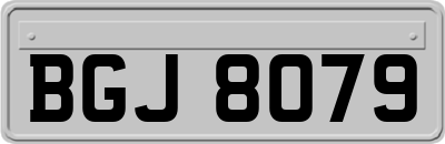 BGJ8079